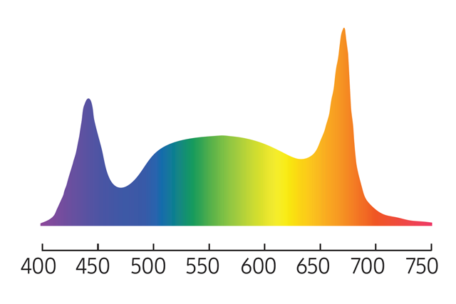 Samsung Full Spectrum Solution